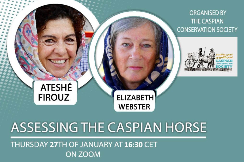 Webinar: Assessing the Caspian Horse