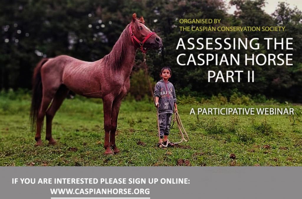 Webinar: Assessing the Caspian Horse, Part II